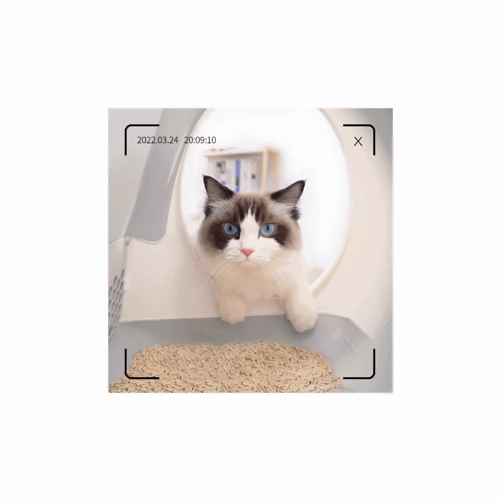 UBTech UCAT C10 PRO, Smart Cat Litter Box, White