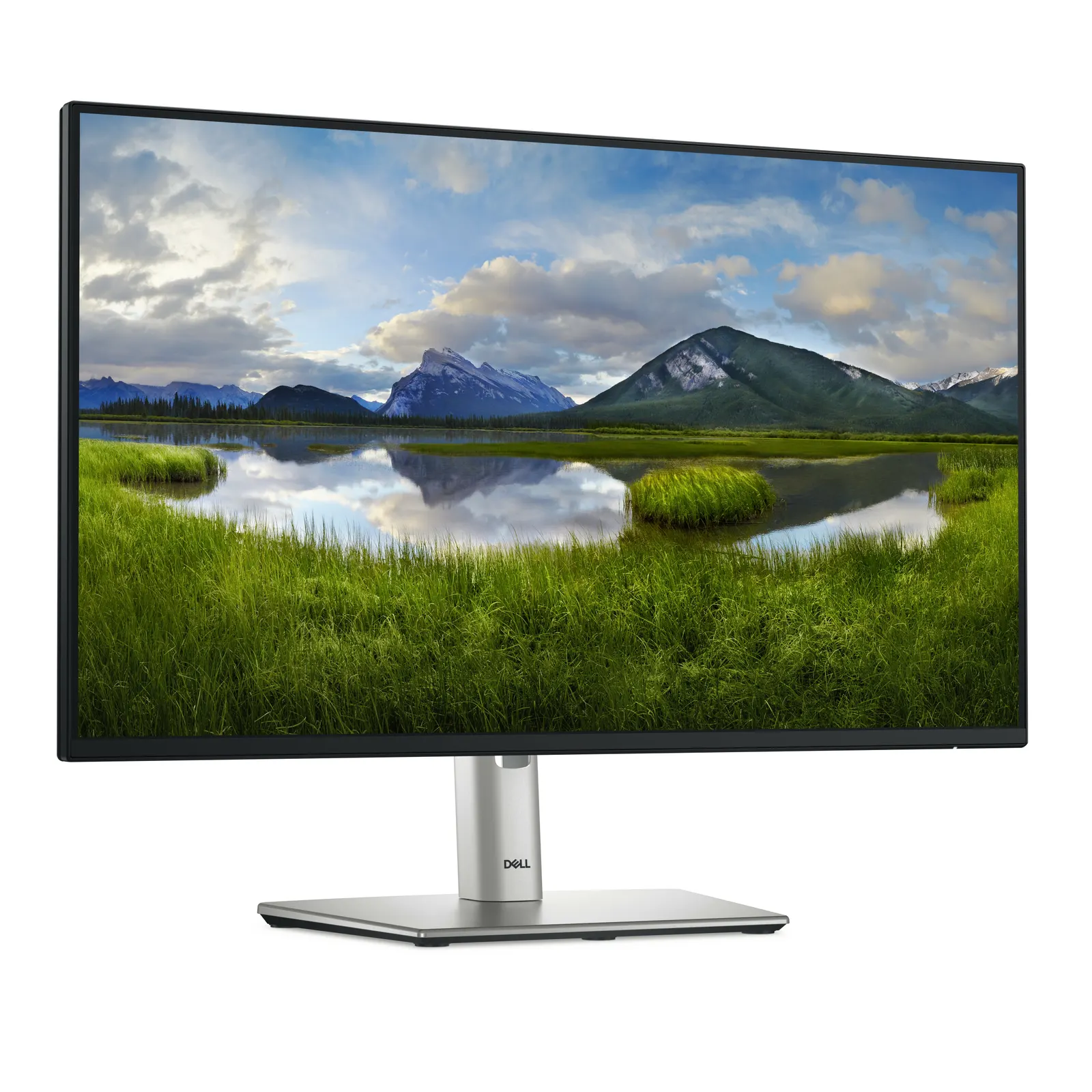 Monitor DELL 23.8" P2425HE USB-C HUB, HDMI, 2xDP, USB-C, IPS, 100Hz, sRGB 99%, Pivot, 1920x1080
