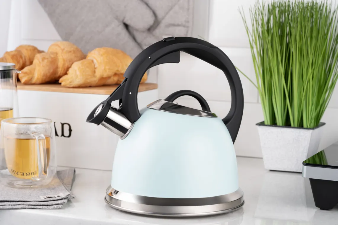 ჩაიდანი Ardesto Kettle Gemini, 2l, stainless steel, blue