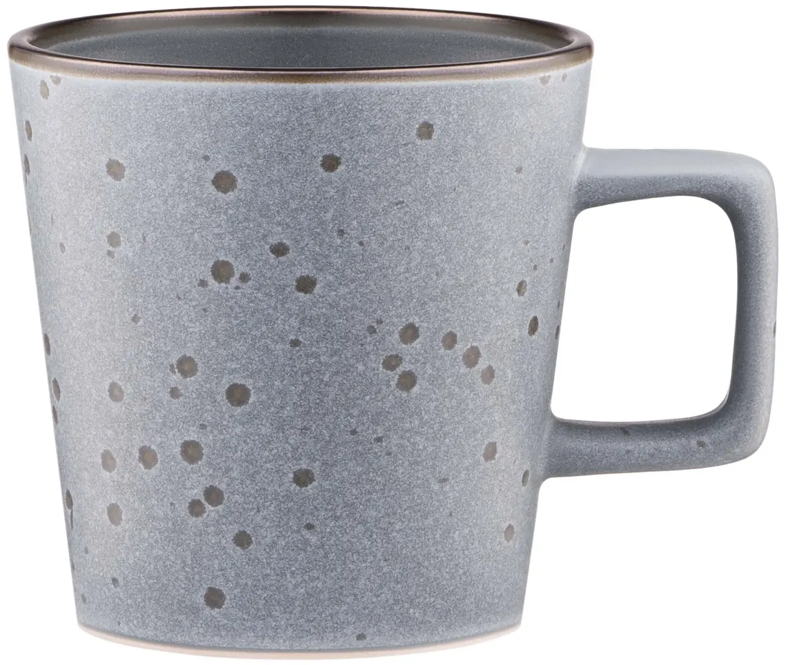 ფინჯანი Mug ARDESTO Fasano, 310ml, ceramic, gray