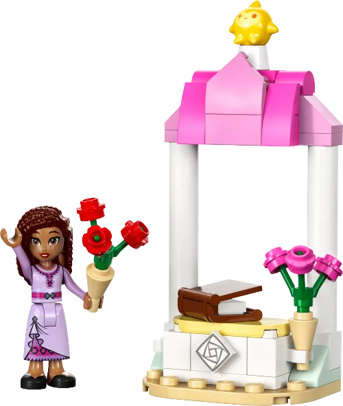 LEGO recruitment Disney Princess Asha's Welcome Booth 30661