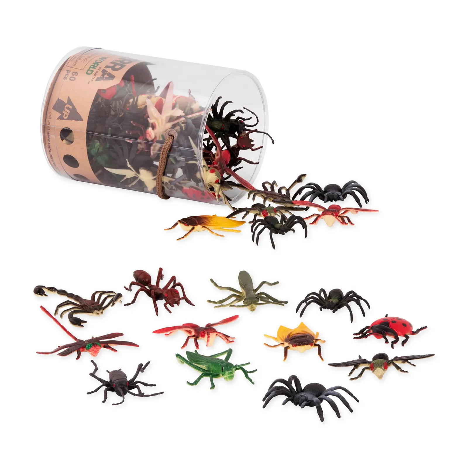 საგანმანათლებლო სათამაშო Terra INSECT WORLD