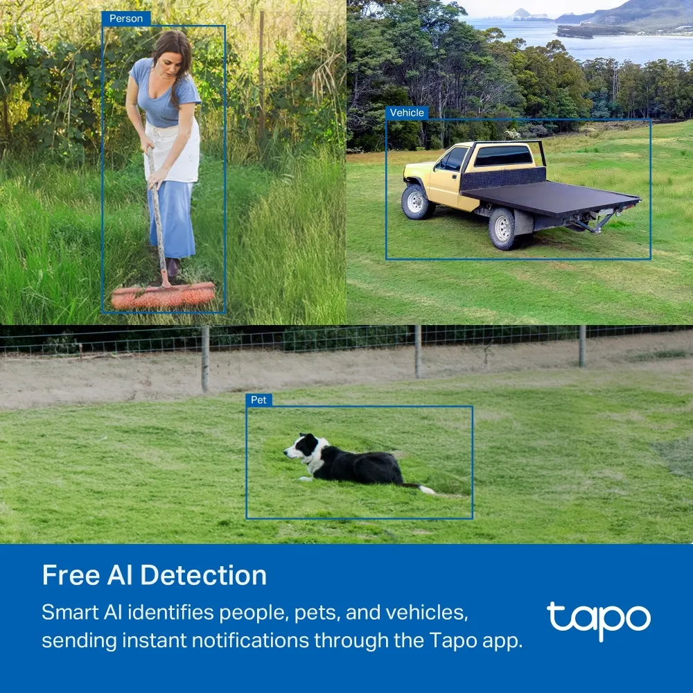 TP-Link Tapo C501GW 4G LTE Pan/Tilt Wi-Fi Camera