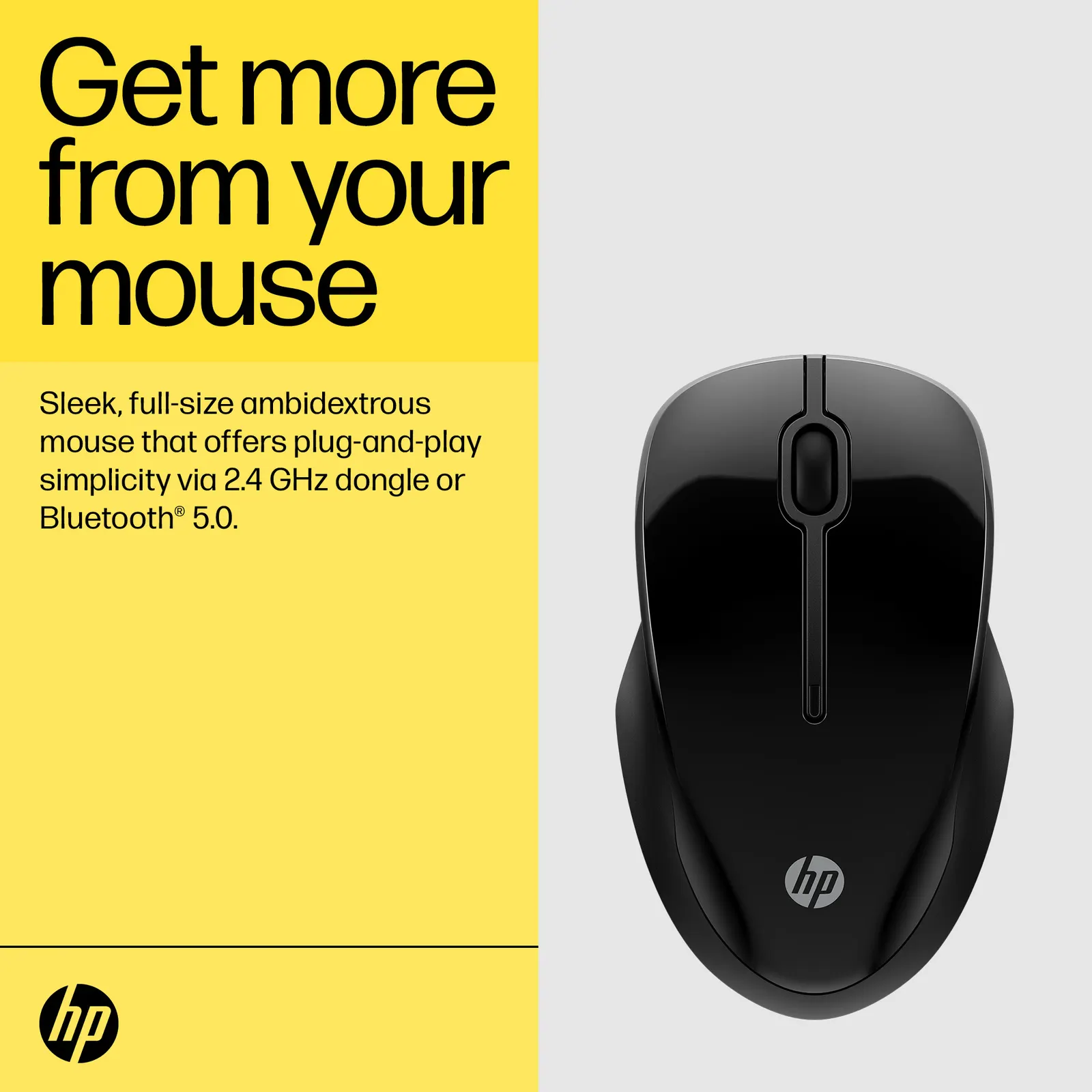 HP 250 Dual Wireless Mouse EURO