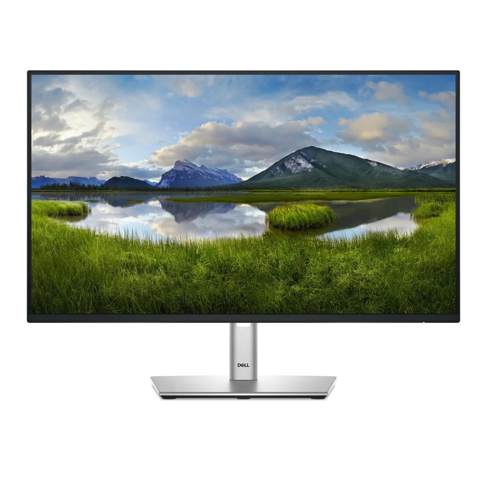 Monitor DELL 23.8" P2425HE USB-C HUB, HDMI, 2xDP, USB-C, IPS, 100Hz, sRGB 99%, Pivot, 1920x1080