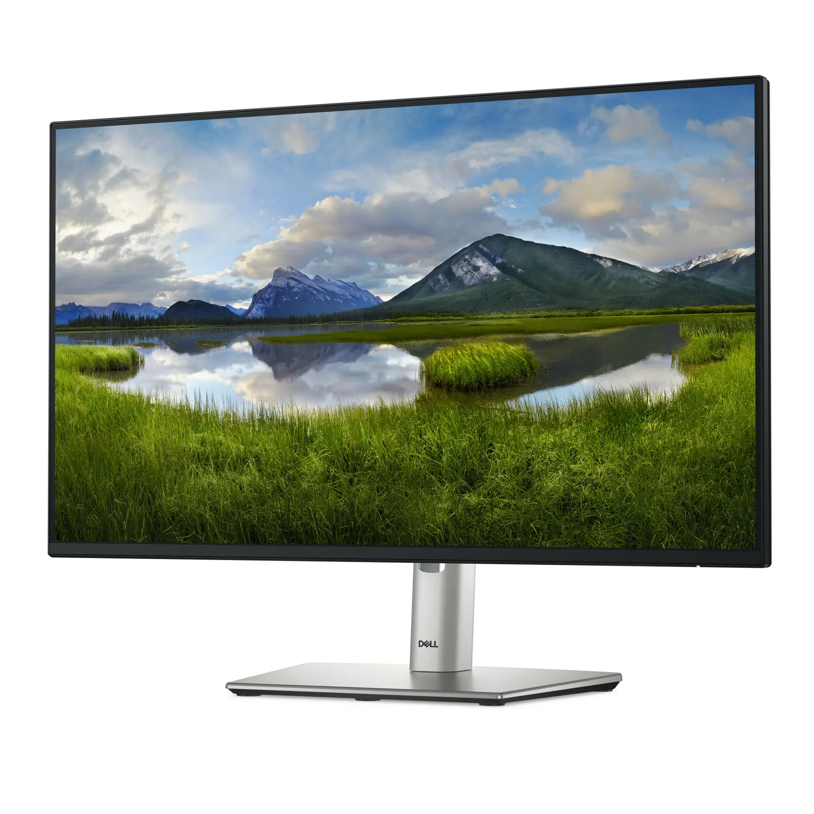 Monitor DELL 23.8" P2425HE USB-C HUB, HDMI, 2xDP, USB-C, IPS, 100Hz, sRGB 99%, Pivot, 1920x1080