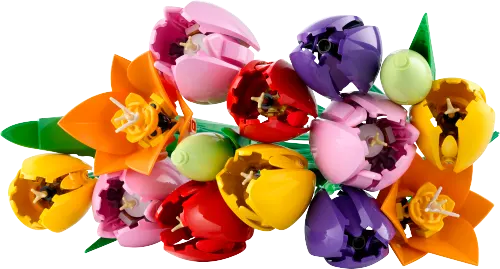 LEGO Botanicals Tulip Bouquet 11501