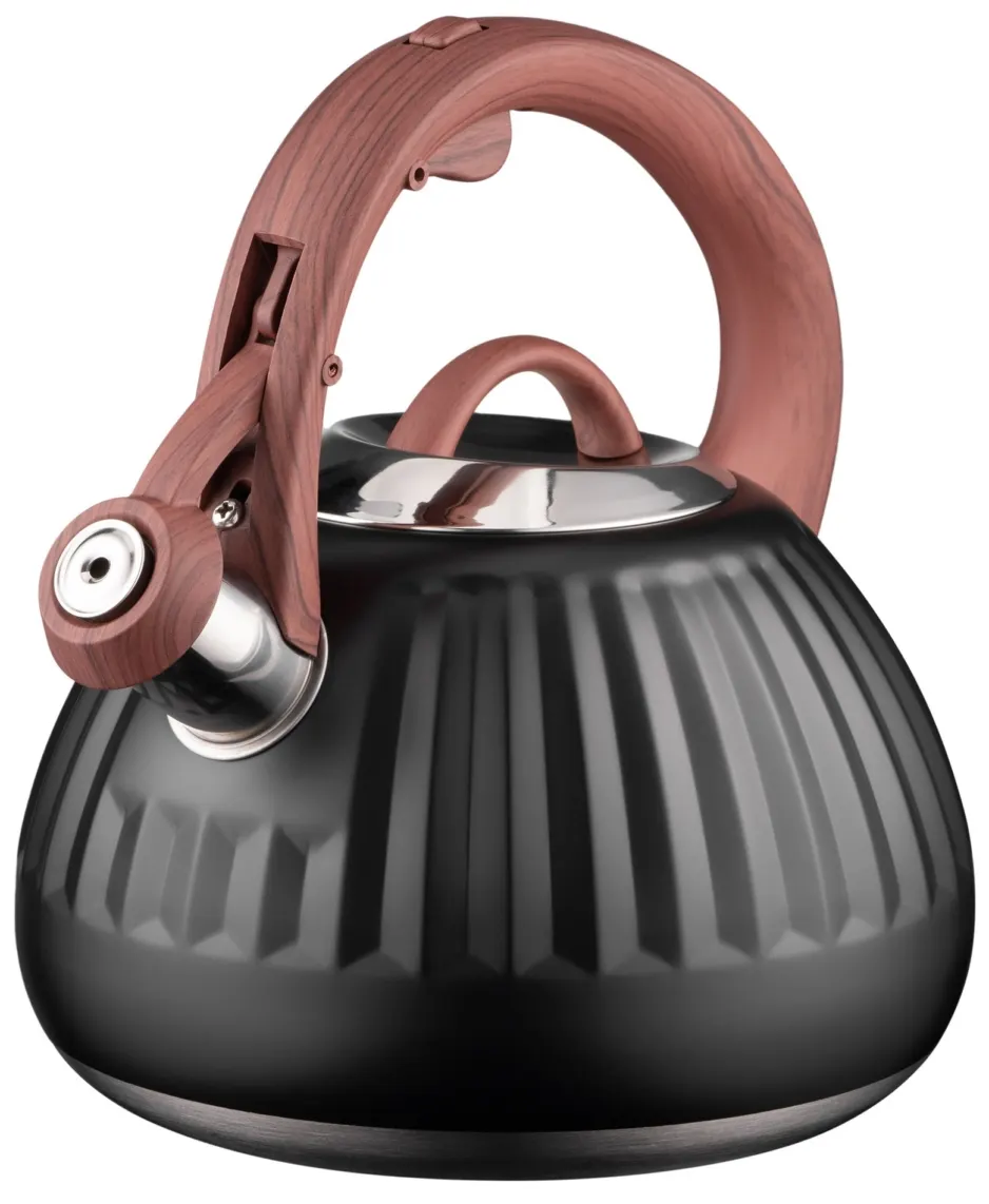 ჩაიდანი Kettle ARDESTO Gemini, 2.5l, stainless steel, black