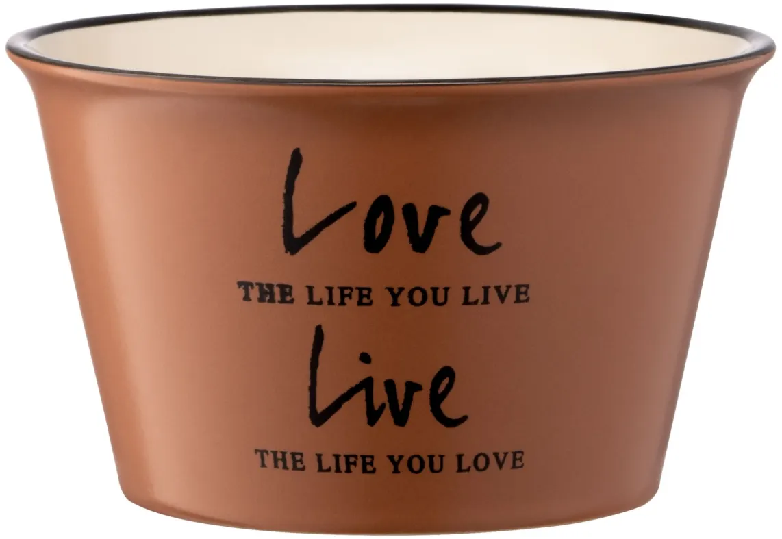 ჯამი Ardesto Bowl Way of life, 550ml, ceramics, brown