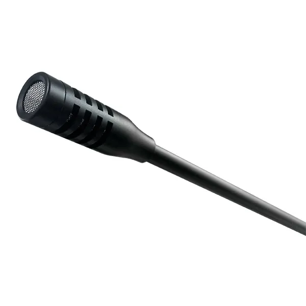 CM30, DSPPA