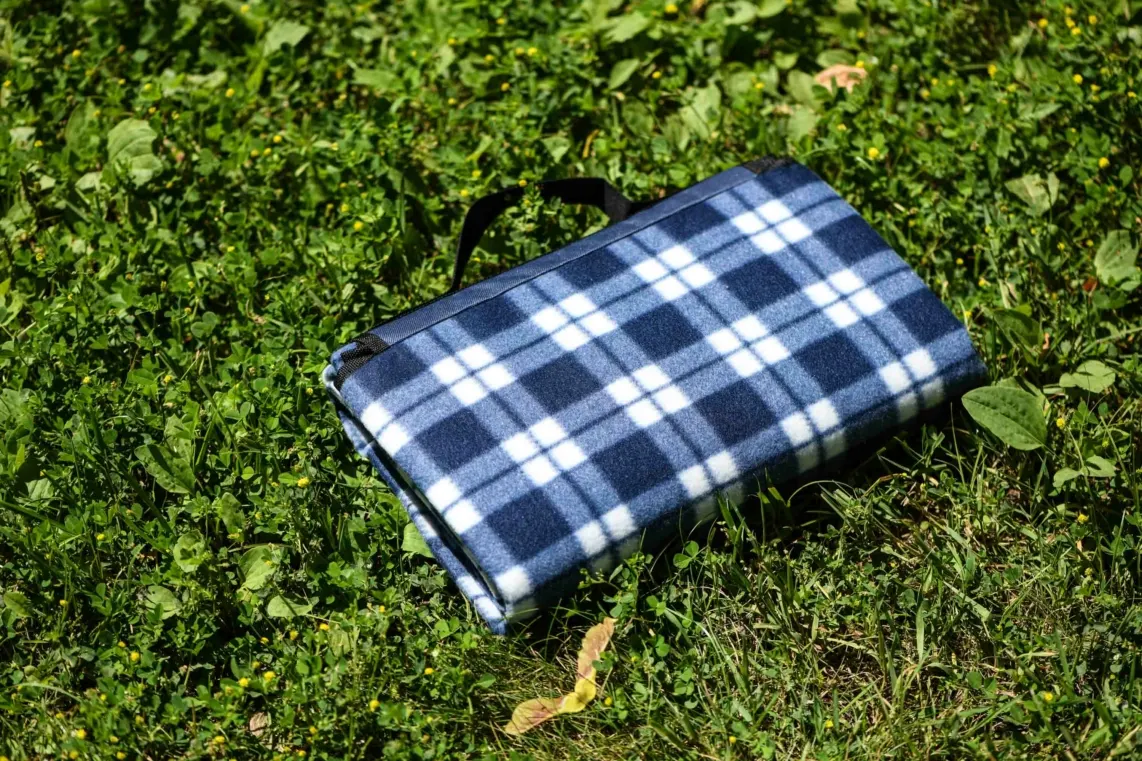 პლედი Ardesto Blanket Picnic 130x170cm, 100% polyester, blue tartan