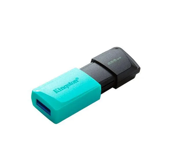 KINGSTON, DTXM/256GB, USB3.2 Gen 1, Black + green