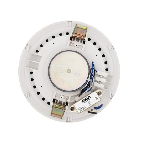 ჭერის ხმამაღლამოლაპარაკე - 3W/6W  6.5'', DSPPA DSP6011