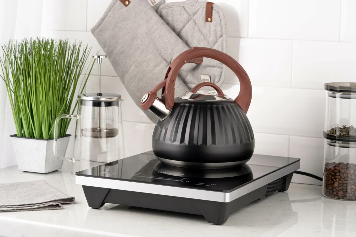 ჩაიდანი Kettle ARDESTO Gemini, 2.5l, stainless steel, black