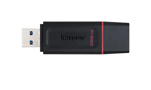 KINGSTON, DTX/256GB, USB3.2, Black + Pink.