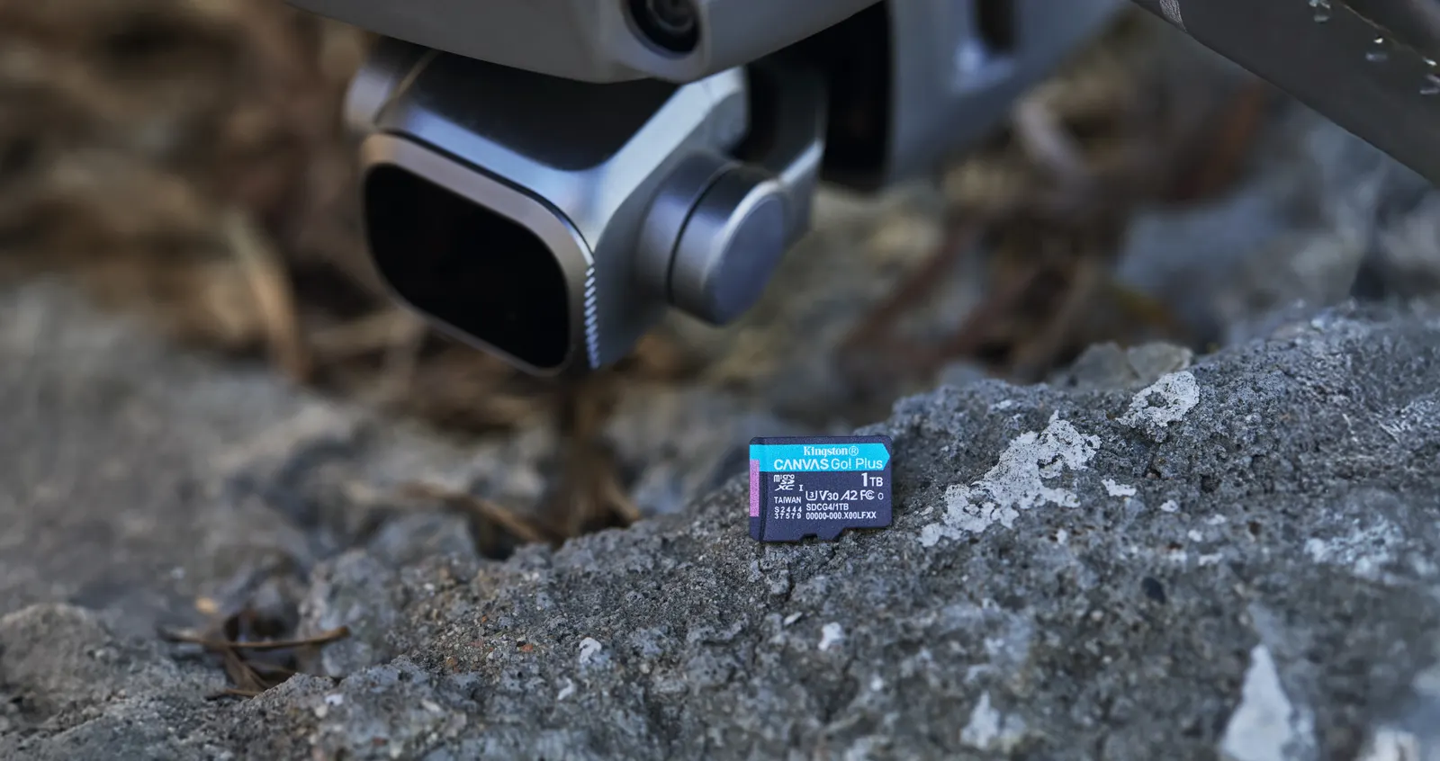 მეხსიერების ბარათი Kingston Canvas Go! Plus 1TB SDXC