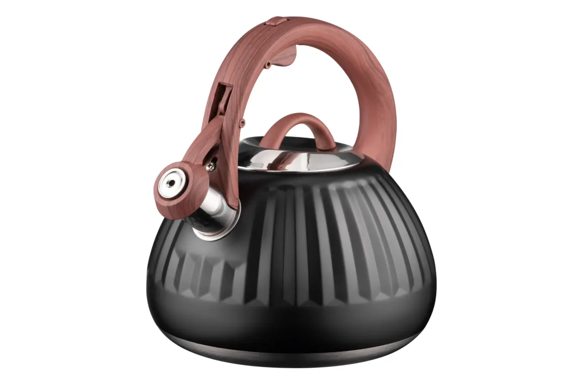 ჩაიდანი Kettle ARDESTO Gemini, 2.5l, stainless steel, black