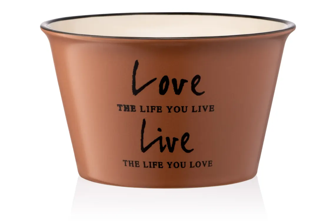 ჯამი Ardesto Bowl Way of life, 550ml, ceramics, brown