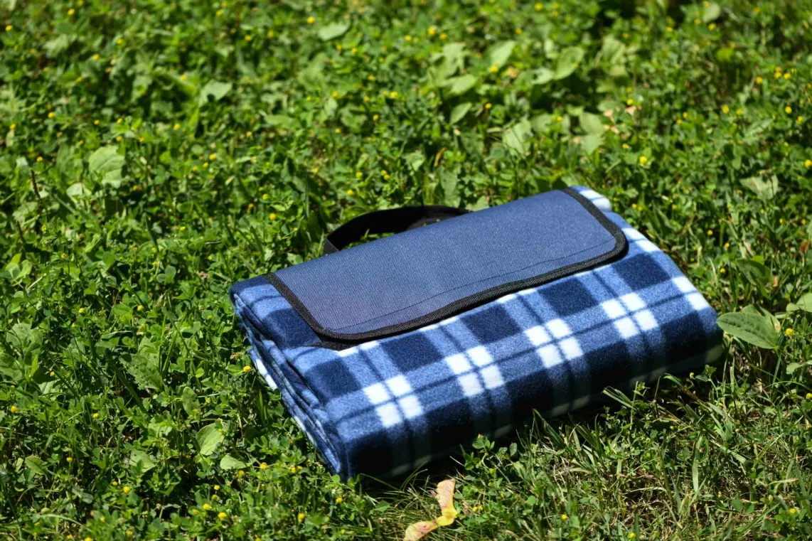პლედი Ardesto Blanket Picnic 130x170cm, 100% polyester, blue tartan
