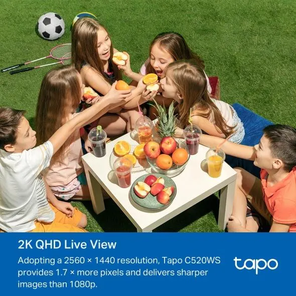 სმარტ კამერა TP-Link Tapo C520WS