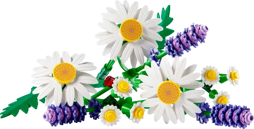 LEGO Botanicals Daisies 11508